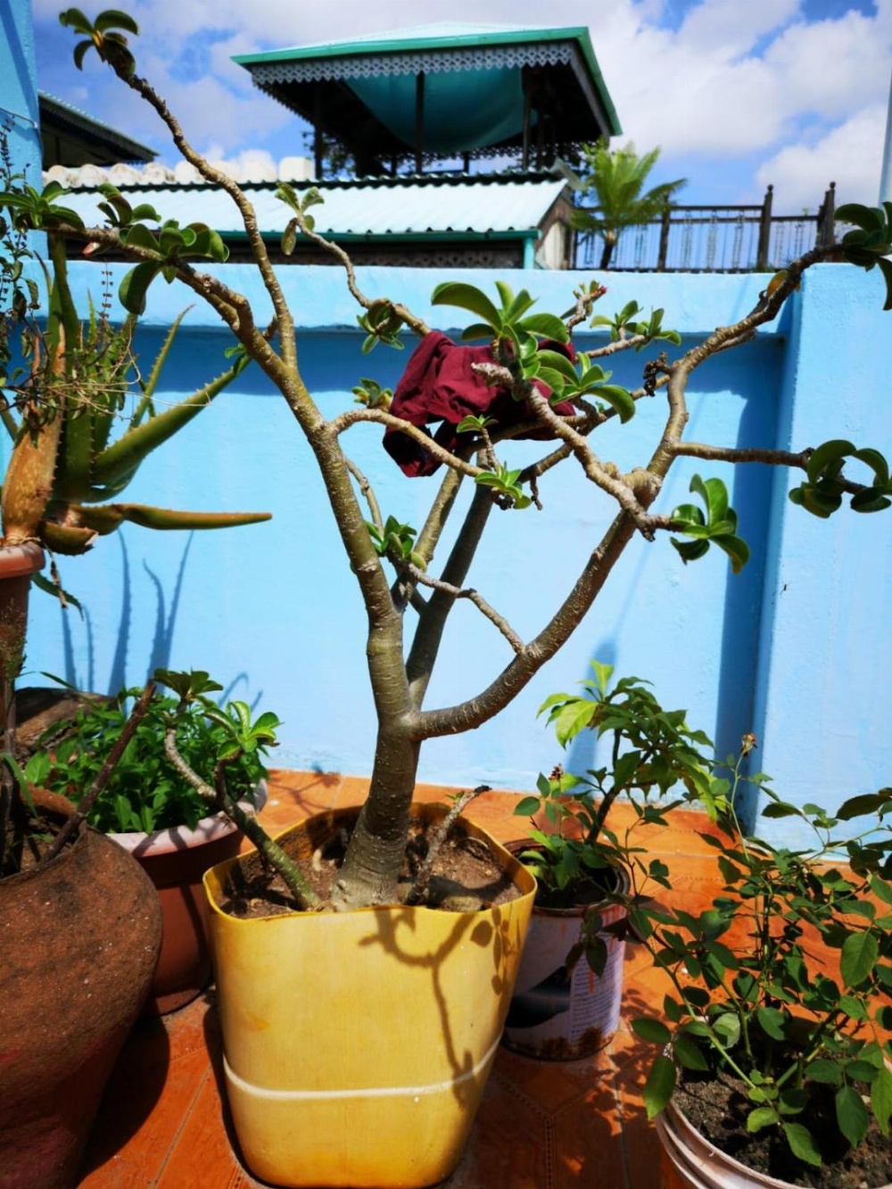 Bottoms Up Main image